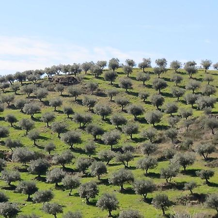 Agroturismo Casal De Castro Avantos Zewnętrze zdjęcie